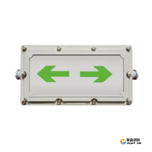 泰和安SS-BLJC-1LROEⅠ1W-6423 防爆型 集中电源集中控制型乐鱼在线(中国)应急标志灯具