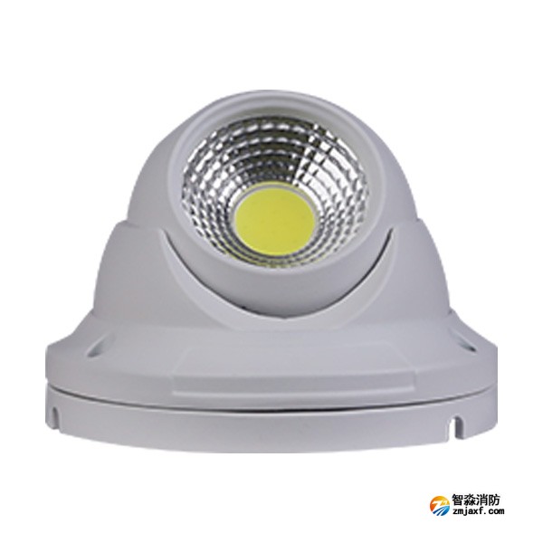 三江SJ-ZFJC-E5W/GZ011集中电源集中控制型乐鱼在线(中国)应急照明灯具