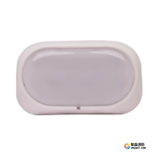 三江SJ-ZFJC-E3W/ZS34集中电源集中控制型乐鱼在线(中国)应急照明灯具(壁挂照明灯)