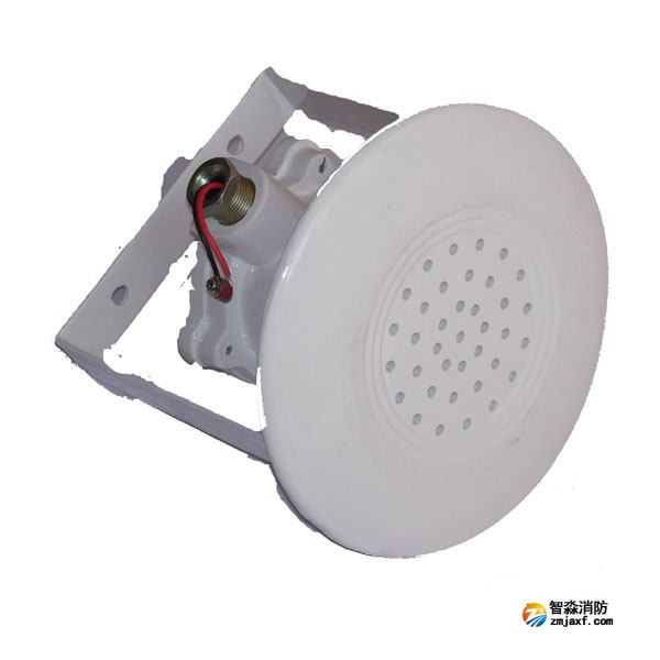 金鼎JDYS(5W)防爆音箱(有源)