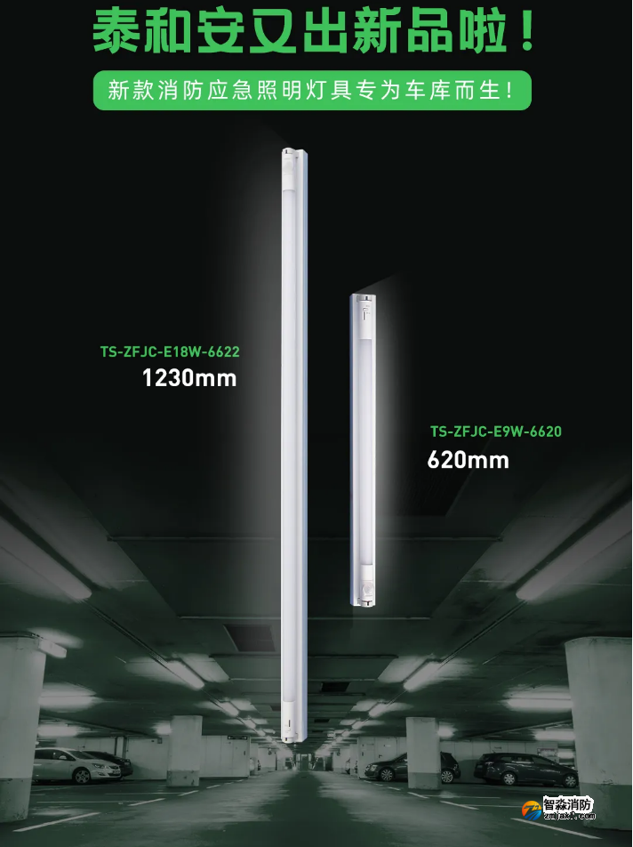 泰和安车库乐鱼在线(中国)应急照明灯具