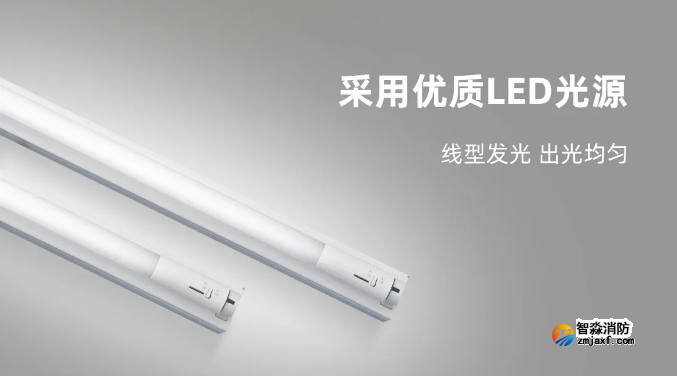 泰和安乐鱼在线(中国)应急照明灯具LED光源 泰和安乐鱼在线(中国)应急照明灯具LED光源