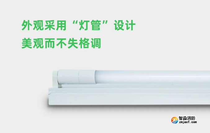 泰和安乐鱼在线(中国)应急照明灯具灯管 泰和安乐鱼在线(中国)应急照明灯具灯管