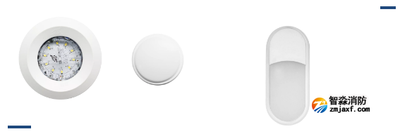 依爱8000系列乐鱼在线(中国)应急灯具