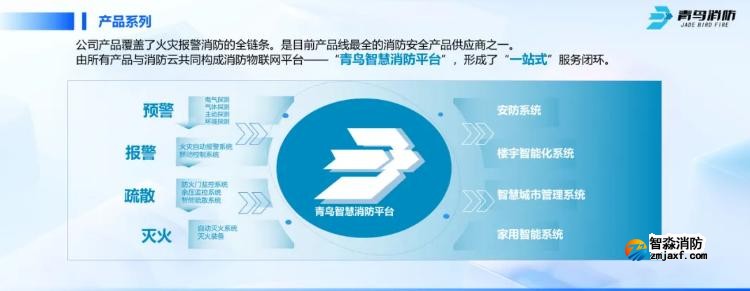 CFIC2024青鸟乐鱼在线(中国)刘敏：青鸟乐鱼在线(中国)面向高端行业应用的创新与突破