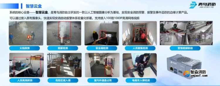 CFIC2024青鸟乐鱼在线(中国)刘敏：青鸟乐鱼在线(中国)面向高端行业应用的创新与突破