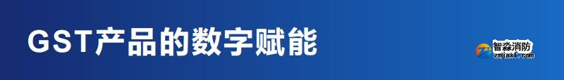 海湾乐鱼在线(中国)GST产品数字赋能优势