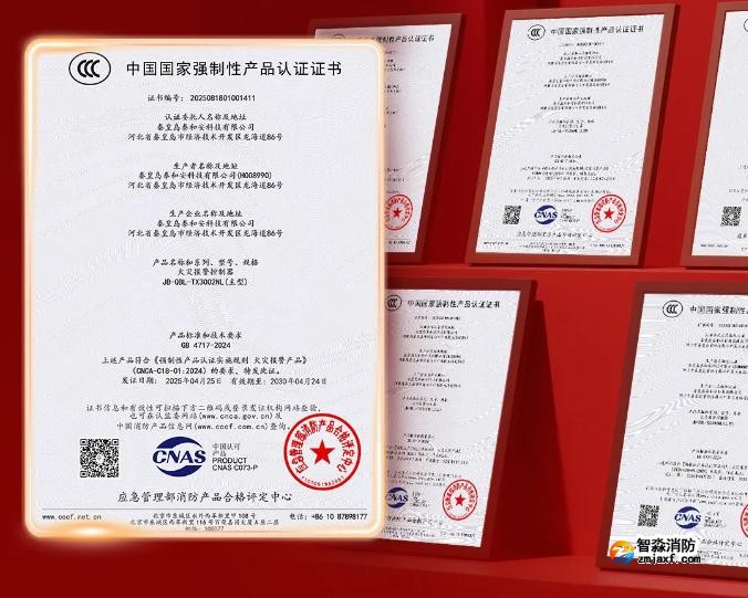 泰和安乐鱼在线(中国)首批获得GB4717-2024《火灾报警控制器》新国标3C认证