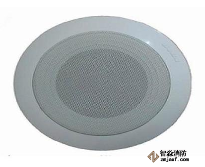 青鸟WY-XD5-6吸顶音箱(3W)