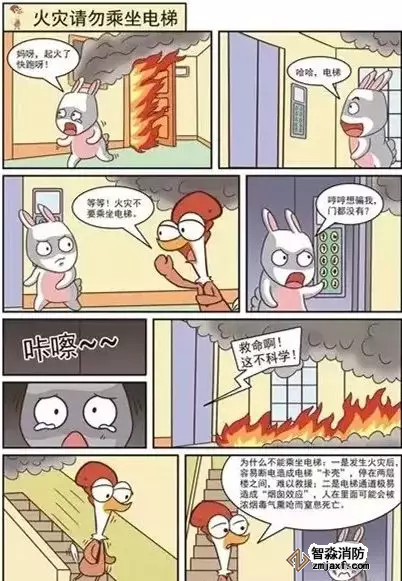 乐鱼在线(中国)漫画01