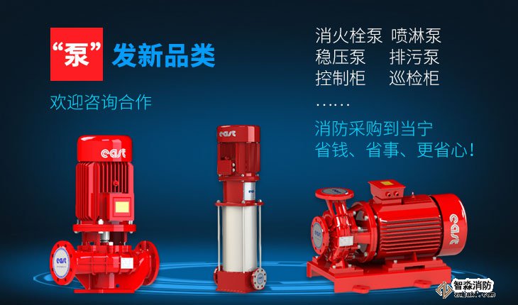 乐鱼在线(中国)水泵