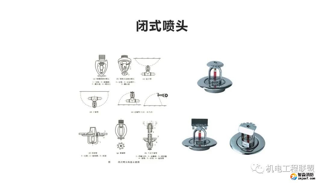 幻灯片71.jpg 图片